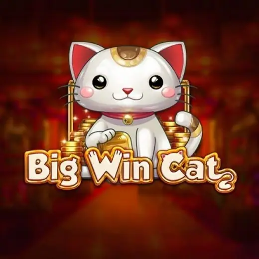 Sampul Big Win Cat dengan kucing putih pembawa hoki di atas tumpukan koin